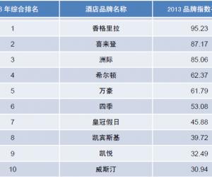 2013年度中国酒店业品牌发展报告（榜单）